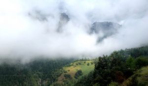 Превью обои холм, горы, деревья, туман, облака, пейзаж