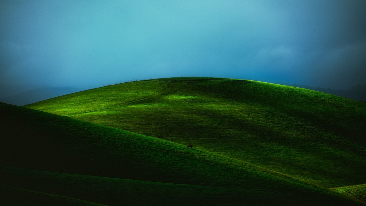 Обои холм, поле, зеленый, пейзаж