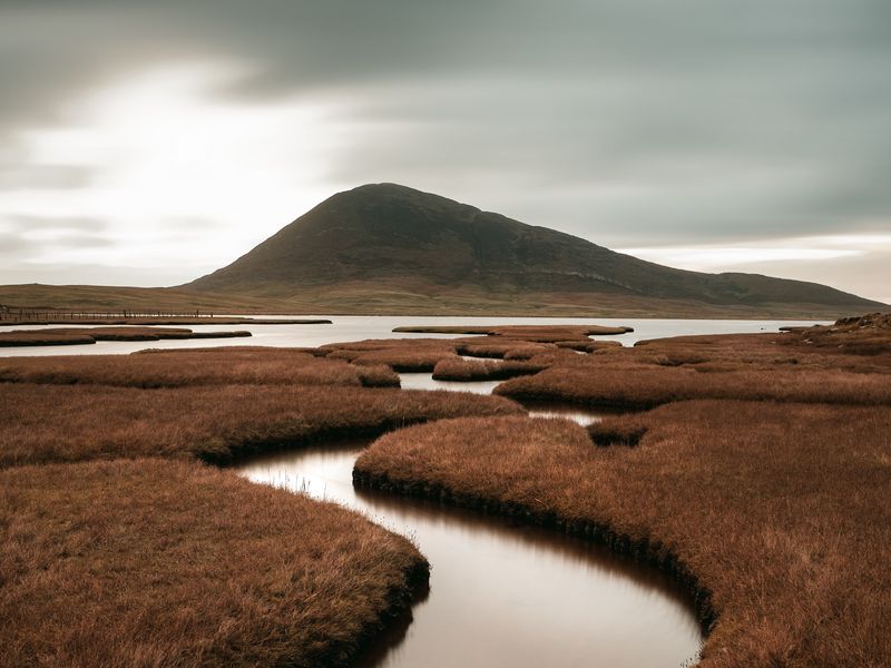 Inch marshes. Marsh перевод. Marshes. Haverland Marshes.