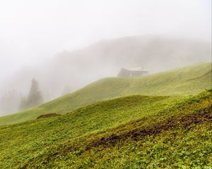 Превью обои холм, склон, трава, дом, туман