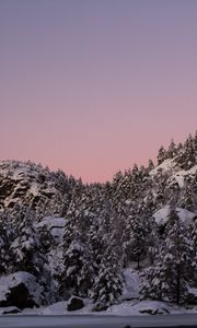 Превью обои холм, снег, деревья, зима, сумерки, пейзаж