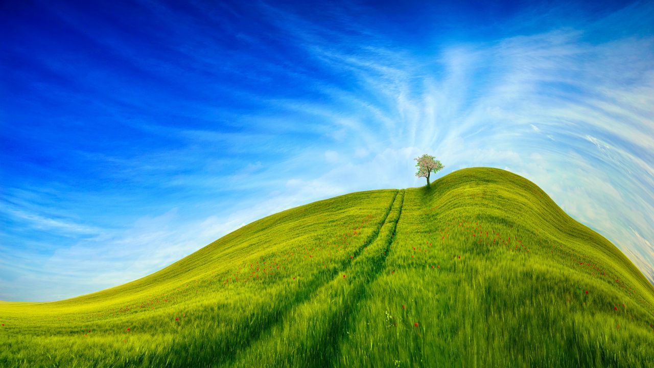 Обои холм, трава, дерево, небо, дорога
