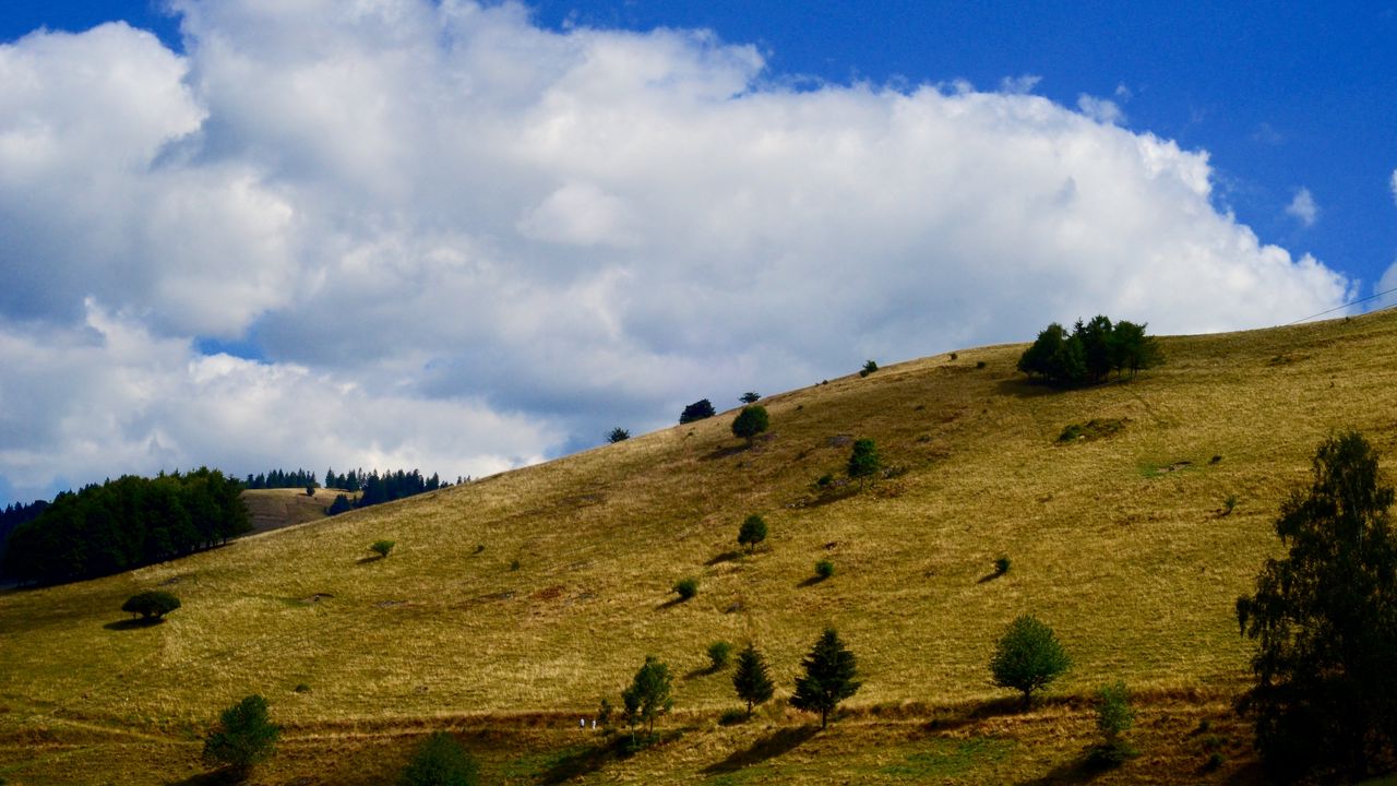Обои холм, трава, небо, возвышенность