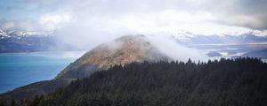 Превью обои холм, туман, деревья, ель, небо