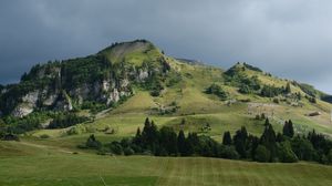 Превью обои холмы, деревья, долина, пейзаж, природа