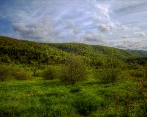 Превью обои холмы, деревья, небо, пейзаж