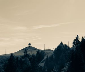 Превью обои холмы, деревья, пейзаж, рельеф, холмистый