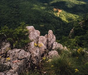 Превью обои холмы, деревья, природа, вид сверху