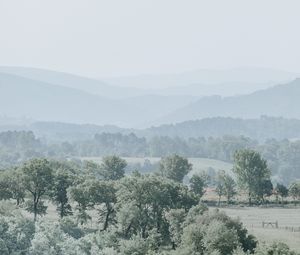 Превью обои холмы, деревья, туман, горизонт, пейзаж