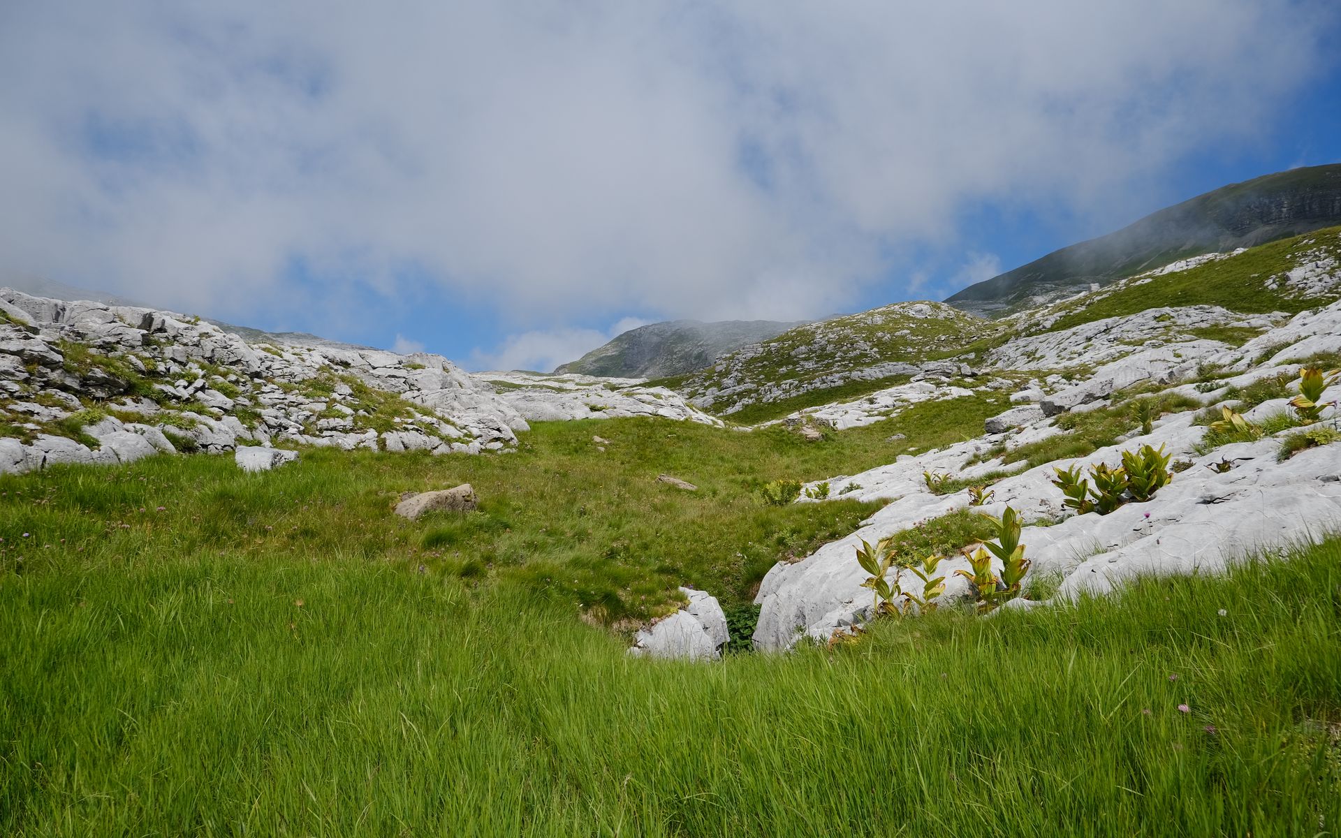 Valley white. Hills 1200 Медовеевка. Долина белых камней. Белый камень. Холмы и Долины.