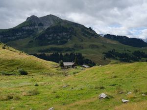 Превью обои холмы, долина, трава, дом, деревья