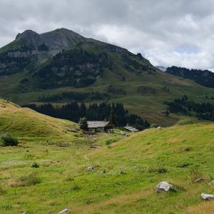 Превью обои холмы, долина, трава, дом, деревья