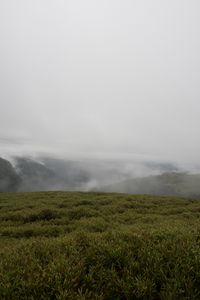 Превью обои холмы, долина, туман, пейзаж