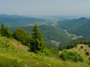 Превью обои холмы, горы, деревья, кусты, пейзаж