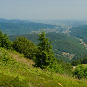 Превью обои холмы, горы, деревья, кусты, пейзаж