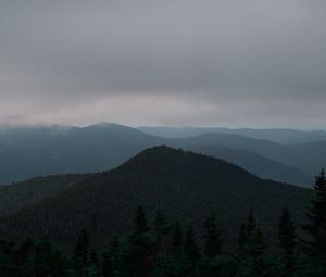 Превью обои холмы, лес, деревья, туман, ель