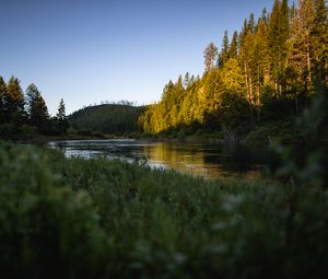 Превью обои холмы, лес, деревья, озеро, пейзаж, природа