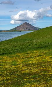 Превью обои холмы, пейзаж, гора, море, цветы