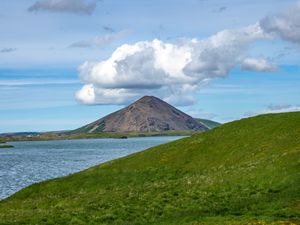 Превью обои холмы, пейзаж, гора, море, цветы