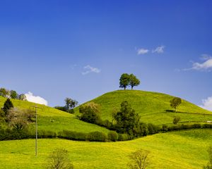 Превью обои холмы, поле, деревья, облака, пейзаж