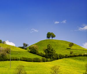 Превью обои холмы, поле, деревья, облака, пейзаж