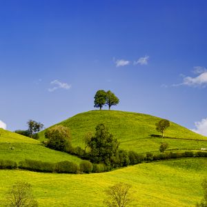 Превью обои холмы, поле, деревья, облака, пейзаж