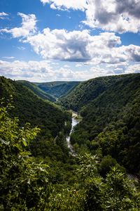 Превью обои холмы, река, долина, деревья, кусты