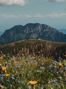 Превью обои холмы, скалы, цветы, полевые цветы, здание