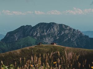 Превью обои холмы, скалы, цветы, полевые цветы, здание