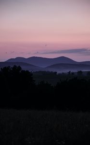 Превью обои холмы, сумерки, кусты, небо, вечер