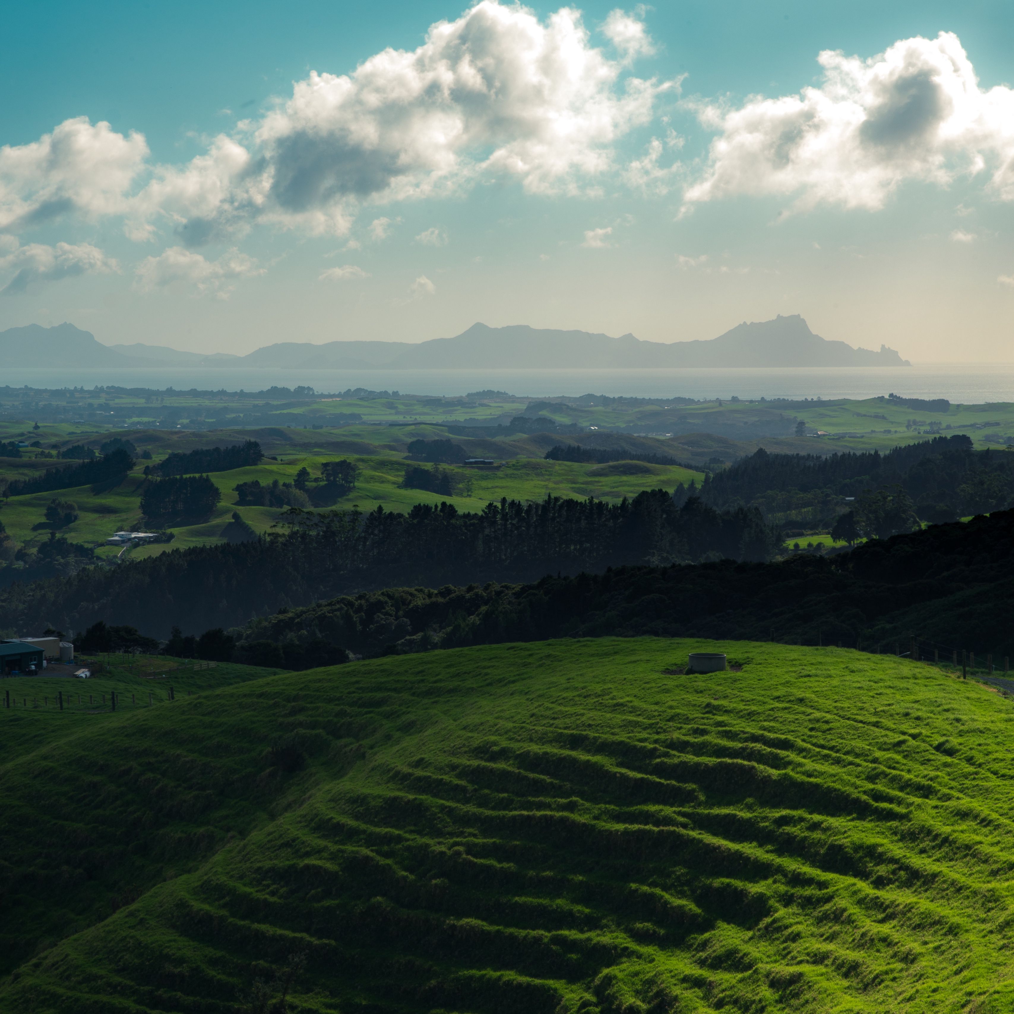 Открывающимся с холма на. Холмы Бомбей новая Зеландия. Новая Зеландия равнины. Холмистая равнина Карелии. Новая Зеландия зеленые холмы.