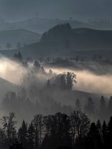 Превью обои холмы, туман, деревья, пейзаж, природа