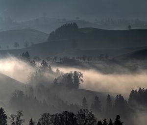 Превью обои холмы, туман, деревья, пейзаж, природа