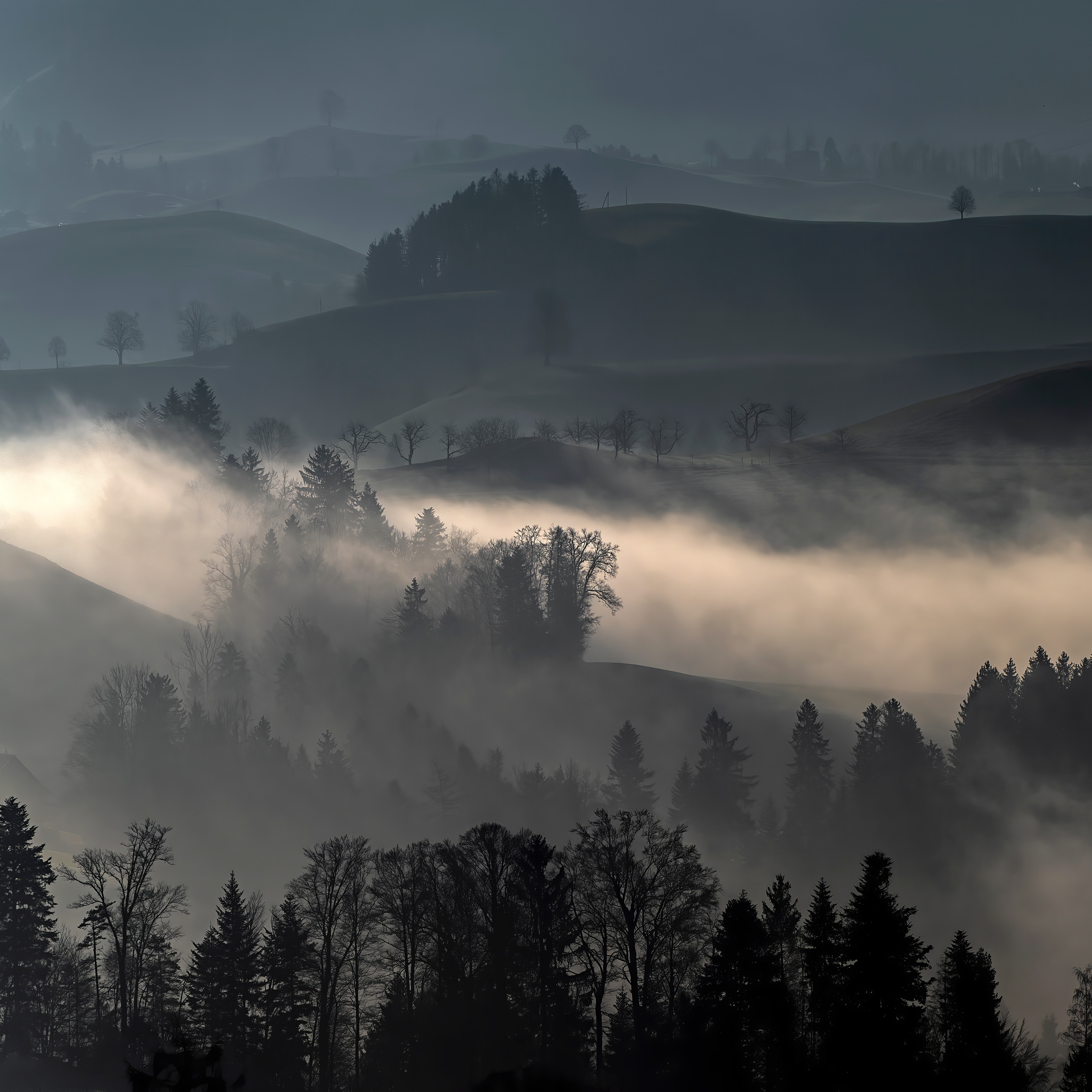 Fog l. Фон туман. Fog l. Туманный пейзаж. Туманный пейзаж.