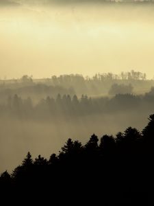 Превью обои холмы, туман, деревья, сумерки