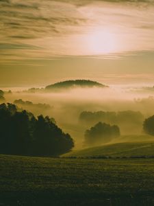 Превью обои холмы, туман, луг, деревья, пейзаж, природа