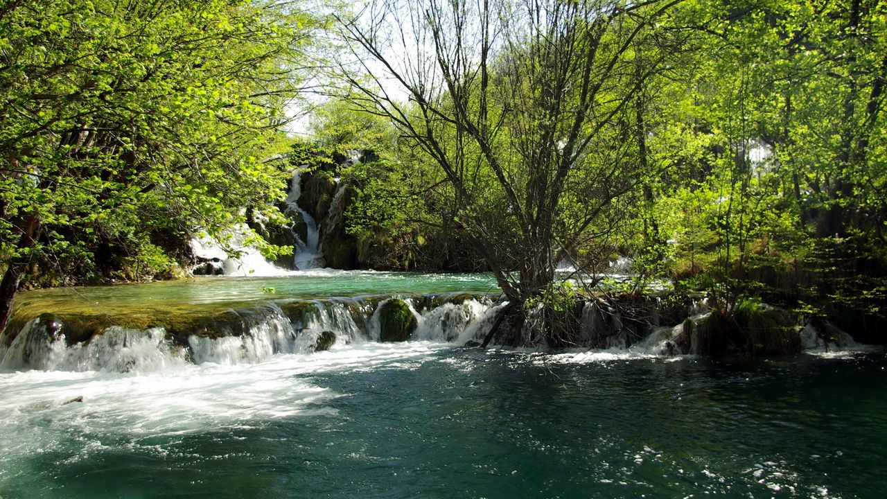 Обои хорватия, река, водопад, деревья, ясно, лето