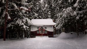Превью обои храм, лес, снег, зима, природа