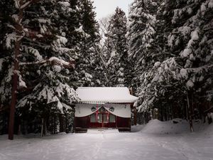 Превью обои храм, лес, снег, зима, природа