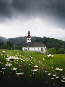 Превью обои храм, поле, цветы, трава, словения