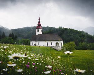 Превью обои храм, поле, цветы, трава, словения