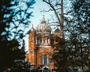 Превью обои храм, ветки, архитектура, небо