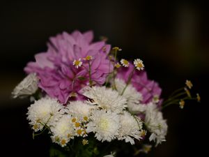 Превью обои хризантемы, ромашки, букет, цветы