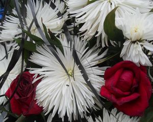 Превью обои хризантемы, розы, цветы, букет, крупный план