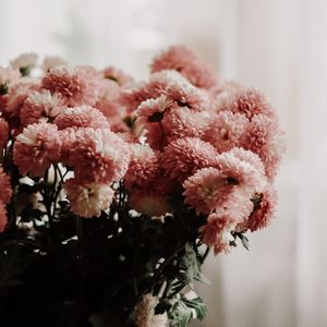 Превью обои хризантемы, цветы, букет, ваза, комната