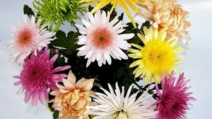 Превью обои хризантемы, цветы, букет, яркие, разные