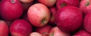 Превью обои яблоки, фрукты, капли, урожай, красный