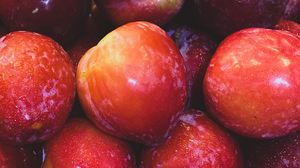 Превью обои яблоки, фрукты, красный, мокрый