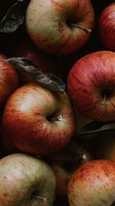 Превью обои яблоки, фрукты, красный, листья