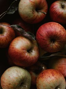Превью обои яблоки, фрукты, красный, листья